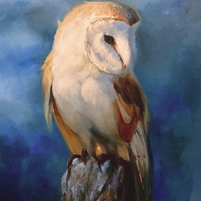 "Barn Owl" - Owl - Wildlife Artwork