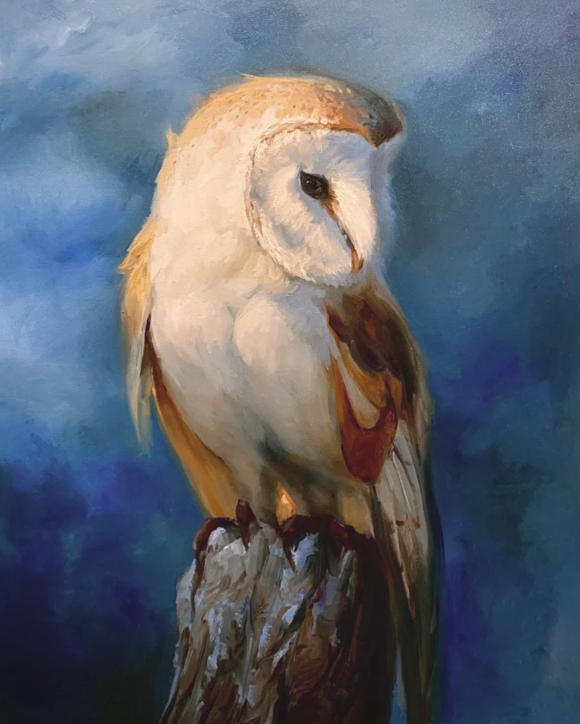 "Barn Owl" - Owl - Wildlife Artwork