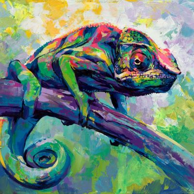 "Chameleon" - Chameleon - Wildlife Artwork