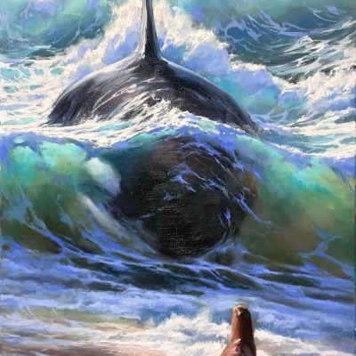 Faith or Fate - Orca Hunting - Wildlife Artwork