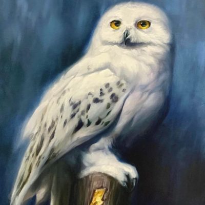 "Hedwig" - Snowy Owl - Wildlife Artwork