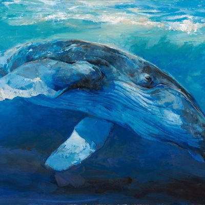 "Humpback Whale" - Whale - Wildlife Artwork
