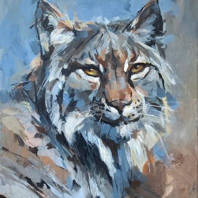 "Old Soul" - Lynx - Wildlife Artwork