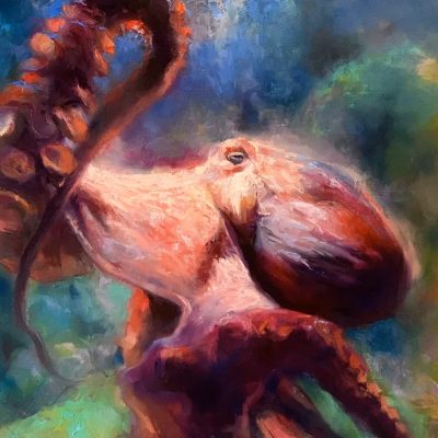 "Questioning" - Octopus - Wildlife Artwork