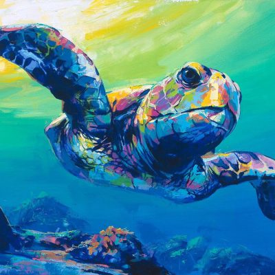 "Sea Turtle" - Turtle - Wildlife Artwork