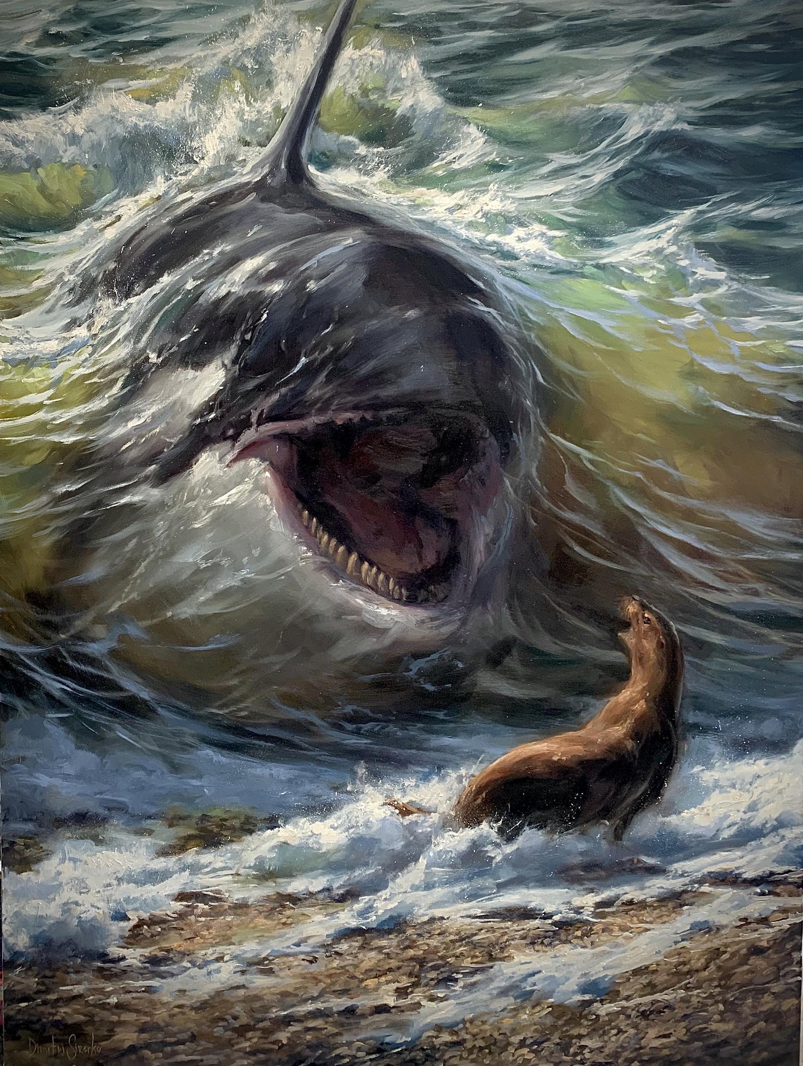 "Sealed Fate" - Orca - Wildlife Artwork