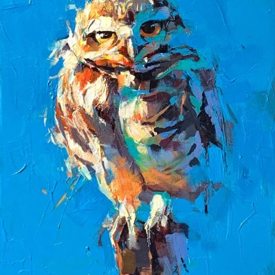 "Sun Bathing" - Owl - Wildlife Artwork