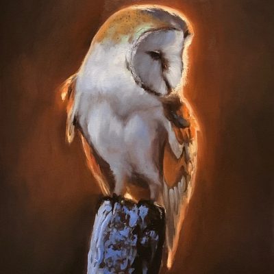 "Beauty of Wisdom" - Owl - Wildlife Artwork
