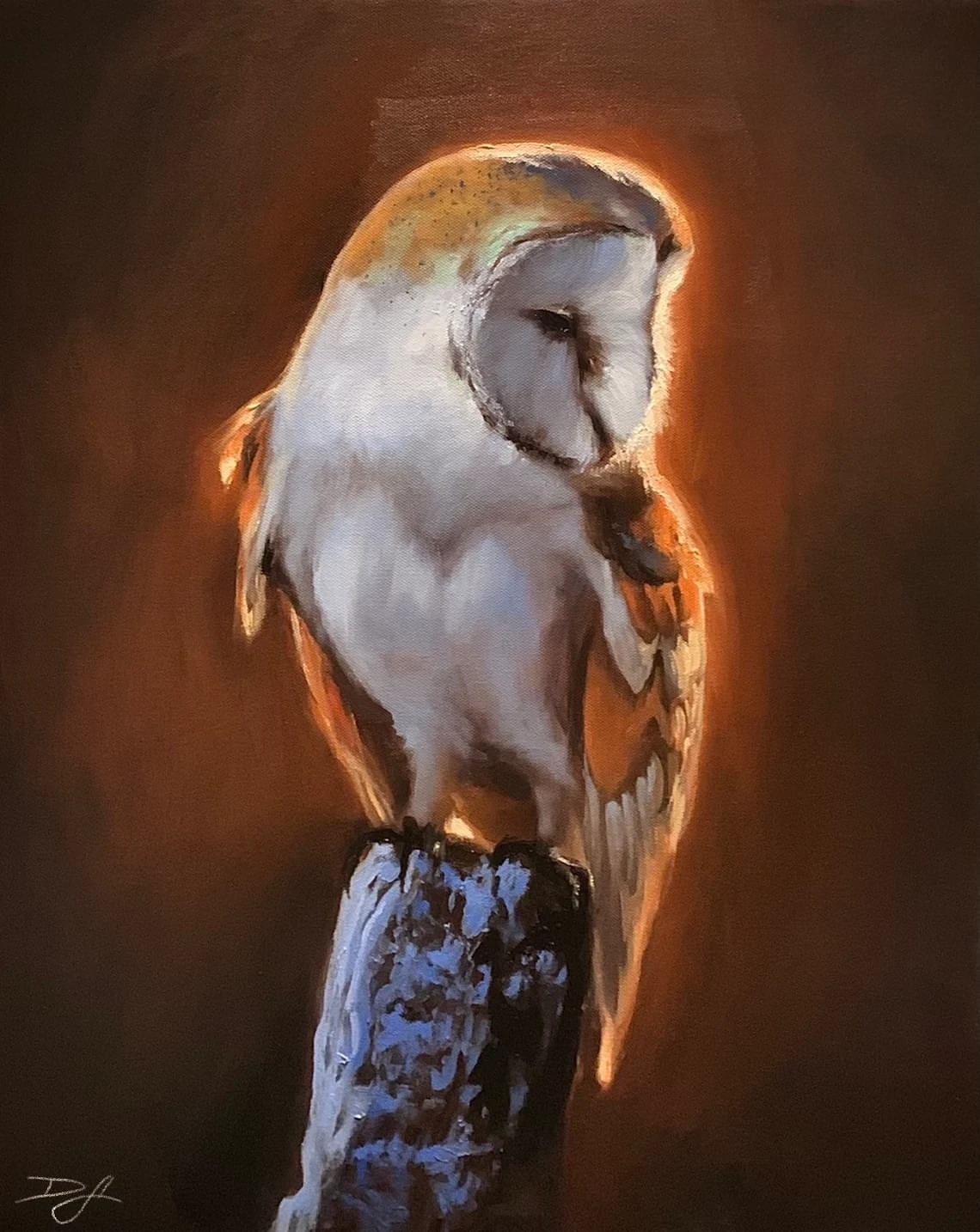 "Beauty of Wisdom" - Owl - Wildlife Artwork