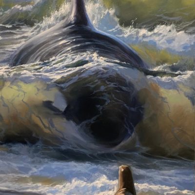 "Faith and Fate" - Orca - Wildlife Artwork