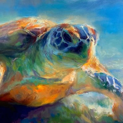 "Prisma" - Turtle - Wildlife Artwork