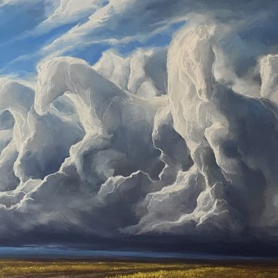"Storm Bringers" - Wildlife - Landscape Artwork