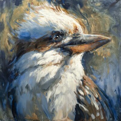 Kookaburra (Darren) - Balance